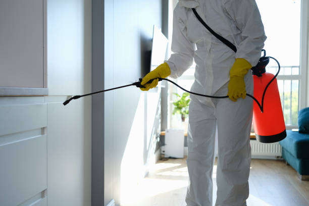 Best Mold Testing  in Mount Vernon, NY